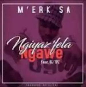 M’erk SA X Mavisto Usenzani - Asambeni ft. DJ Nemza